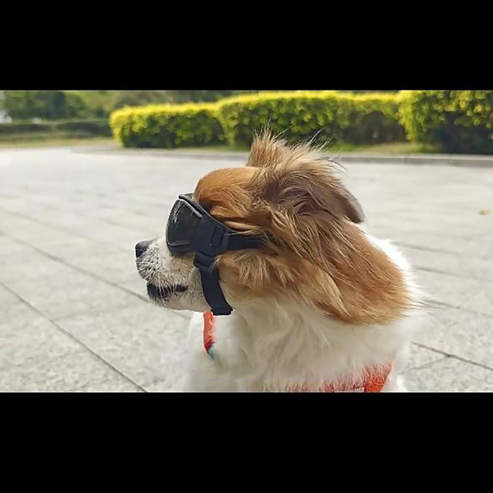Kacamata Hewan Peliharaan Sili - Windsor Knot Tie ulasan dan harga
